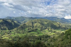 Salento i Valle de Cocora