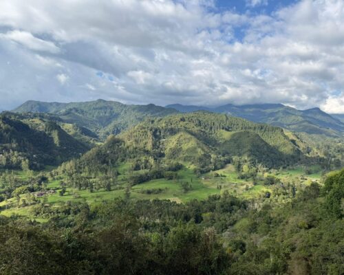Salento i Valle de Cocora