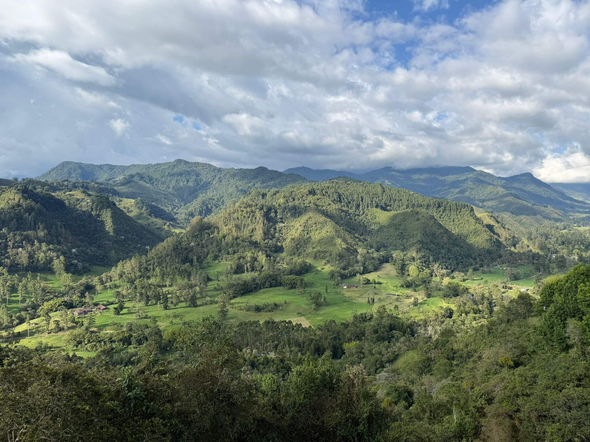 Salento i Valle de Cocora