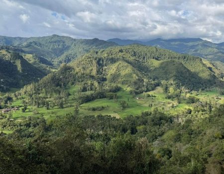 all-exclusive-salento-cocora-poziome2